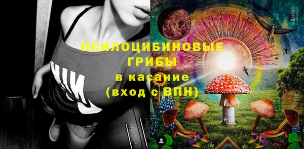 эйфоретик Белокуриха