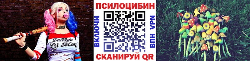 Галлюциногенные грибы MAGIC MUSHROOMS  Ворсма 
