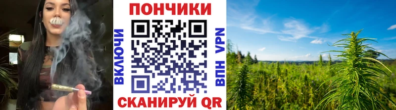 Канабис планчик  Ворсма 